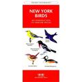 Waterford Press New York State Birds Book: An Introduction to Familiar Species WFP1583551592